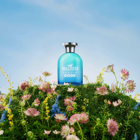 HOLLISTER 0085715267658 HOLLISTER 0085715267658